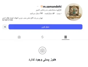 آغاز«پاکسازی»کسب و کارهای اینستاگرامی با قطع تلفن:گفتند شماها فرهنگ مملکت را به گند می‌کشید!